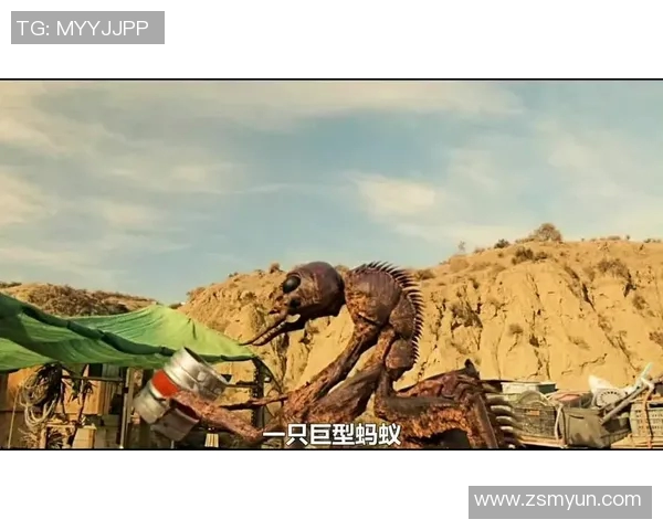 黑粉疯狂袭击足球明星背后的真相与阴谋揭示了光鲜背后的黑暗世界